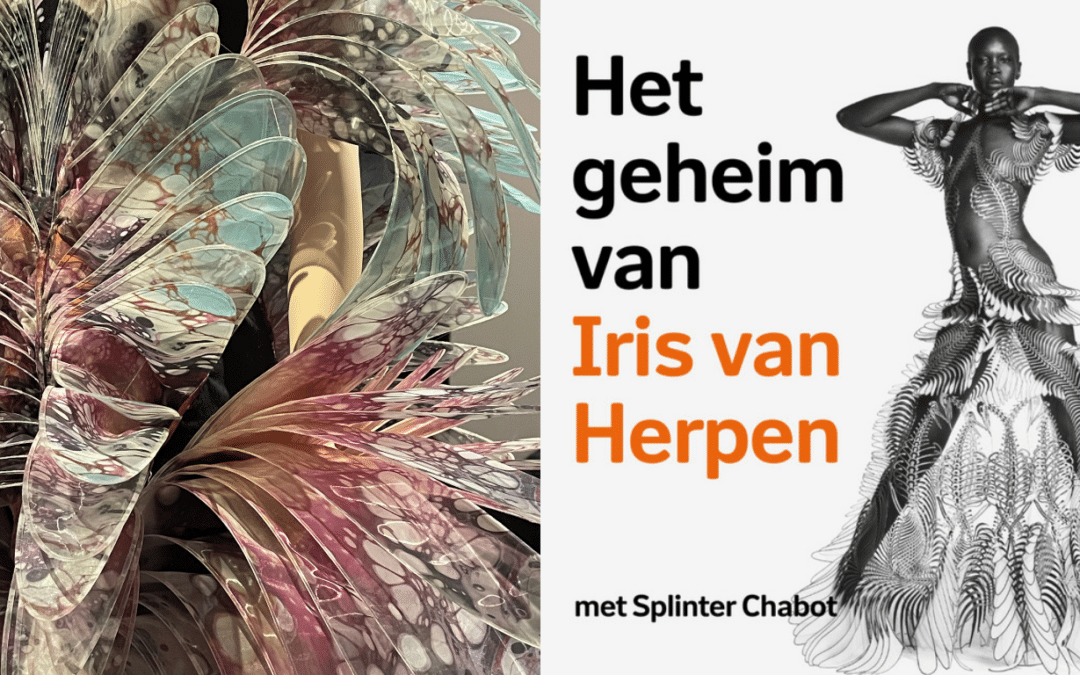 In Flow met Creativiteit – inspirerende inzichten van Iris van Herpen, blog door Nicoline van Boven, juweelontwerpster en goudsmid Kapelle, Zeeland